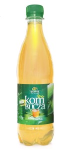 KOMBUCHA HERBATA Z ALOE VERA BIO 500 ml - BIO LINIE