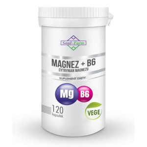 MAGNEZ + WITAMINA B6 120 KAPSUŁEK 97,5 mg + 1,4 mg SOUL FARM
