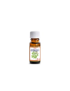 Olejek zapachowy kolendrowy 10ml Etja /Coriandrum Sativum Oil/ 