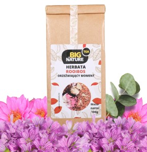 Herbata ROOIBOS ORZEŹWIAJĄCY MOMENT 100g MIXBRANDS