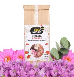 Herbata ROOIBOS ORZEŹWIAJĄCY MOMENT 50g MIXBRANDS