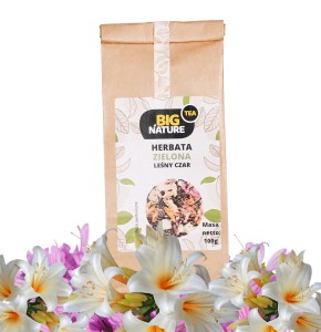 Herbata zielona LEŚNY CZAR 100g  MIXBRANDS
