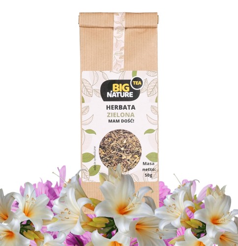 5903351627849 Herbata zielona LEŚNY CZAR 50g MIXBRANDS