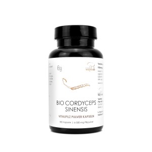 GRZYBY CORDYCEPS SINENSIS (KORDYCEPS CHIŃSKI) BIO (500 mg) 100 KAPSUŁEK