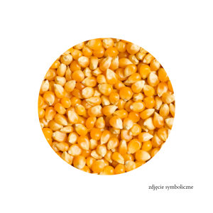 POPCORN 25KG MIX BRANDS