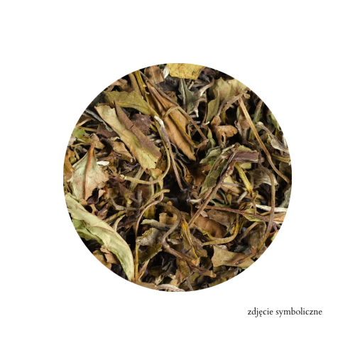 8daf1b8cbeb4eb1dcca5f2f44e3ab6e4