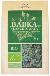 Babka lancetowata BIO 35 g KORNINO