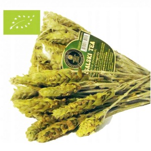 Gojnik Herbata Mursalska BIO 22g
