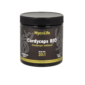 Cordyceps BIO 100 g - MycoLife